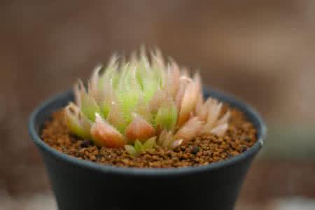 һ980!֣ݾһСթƭŻ